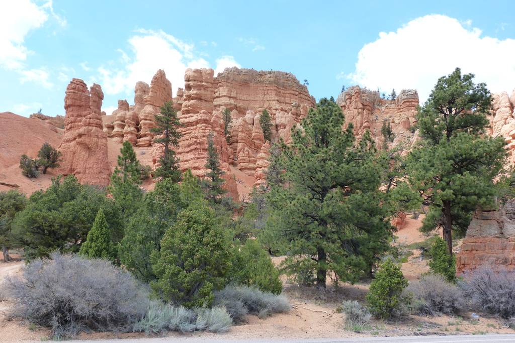 Zurück in die Zukunft – Unser Roadtrip durch die USA