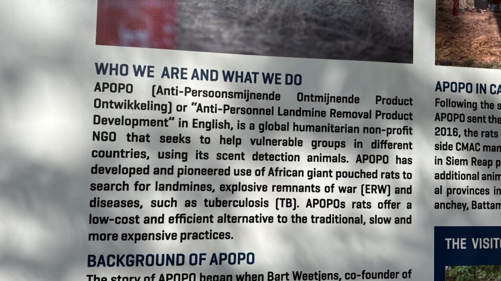 Nahaufnahme einer Infotafel über APOPO: Afrikanische Riesenratten helfen freundlich, Minen zu räumen und Krankheiten aufzuspüren.