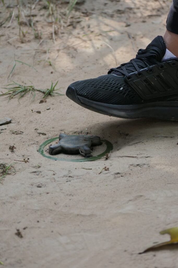 Ein schwarzer Sneaker steht nah neben einem kleinen, schildkrötenförmigen Objekt im Sand - ein paar Grashalme und Blätter sind zu sehen.