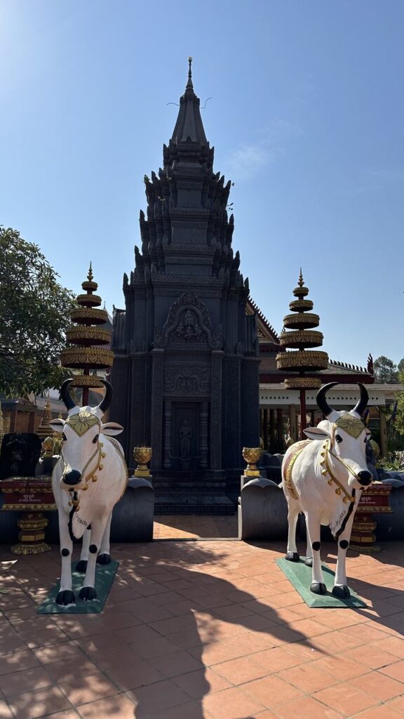 Vor einem prachtvollen Tempel stehen zwei weiße Kuh-Statuen mit hübschen Geschirren, flankiert von goldenen Schreinen im Sonnenschein.