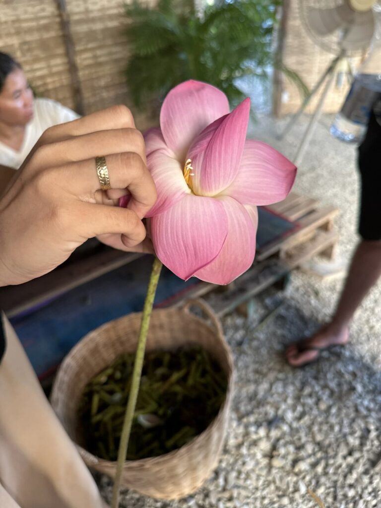 Draußen hält eine Hand mit Silberring eine rosa Lotusblume, dahinter sitzt jemand an einem Holztisch, daneben ein Korb mit grünen Schoten.