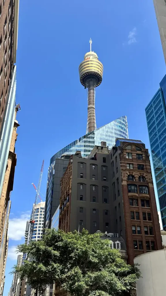 Der Sydney Tower überragt charmant alte und neue Gebäude, blauer Himmel, grüne Bäume und Baukräne geben dem Stadtbild Flair.