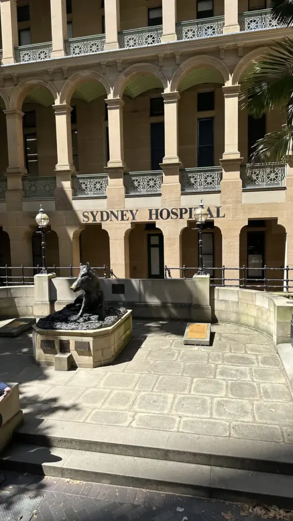 Vor dem Sydney Hospital mit seinen Bögen und Balkonen steht im Hof die bronzene Wildschwein-Statue auf einem Sockel.