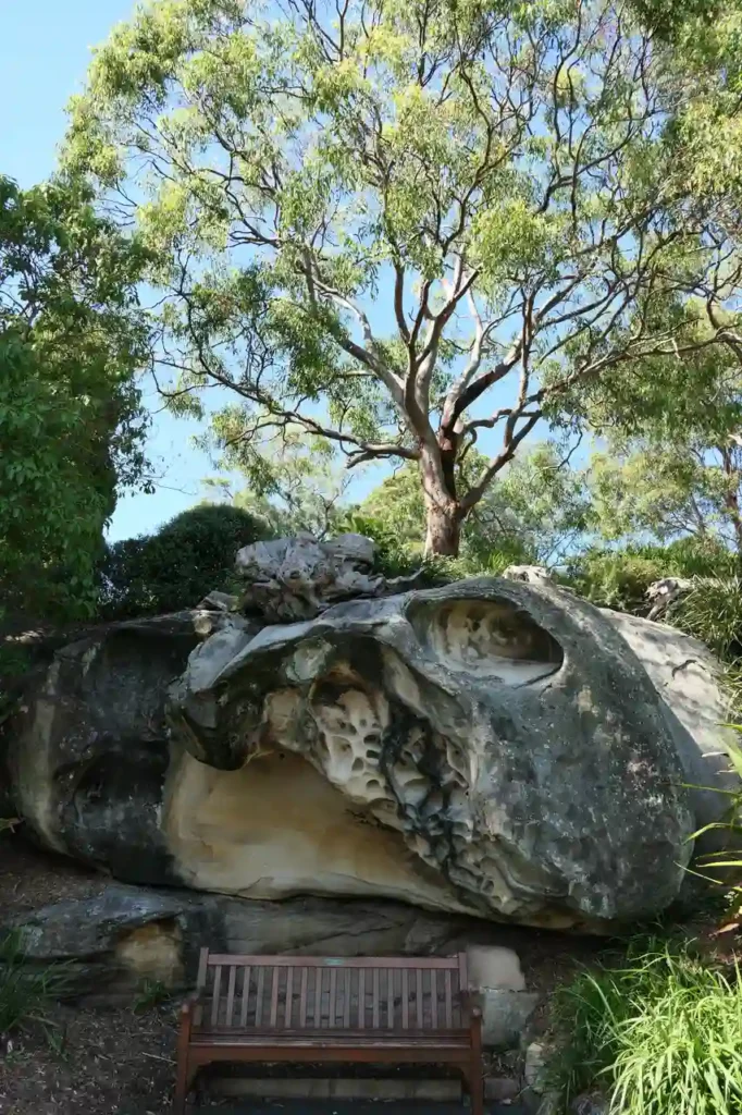 Ein großer, verwitterter Felsen liegt unter einem belaubten Baum im Grünen. Sonnenlicht fällt durch Äste auf eine Holzbank davor.