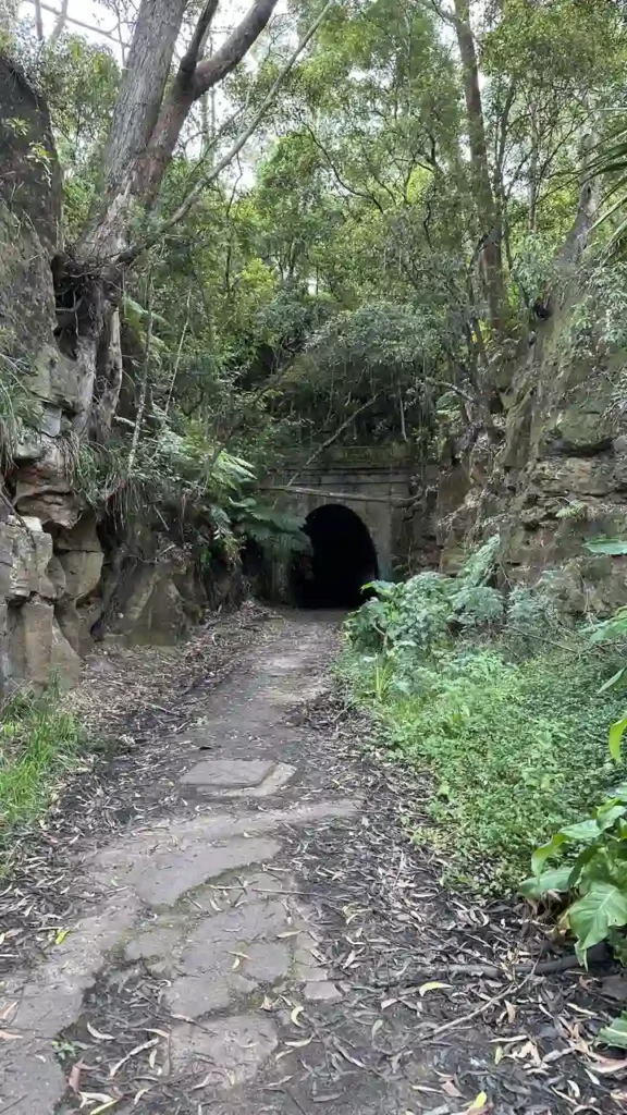 Ein schmaler Steinweg schlängelt sich durch sattes Grün und Felsen zu einem alten Tunnel, der von wilden Pflanzen umgeben ist.