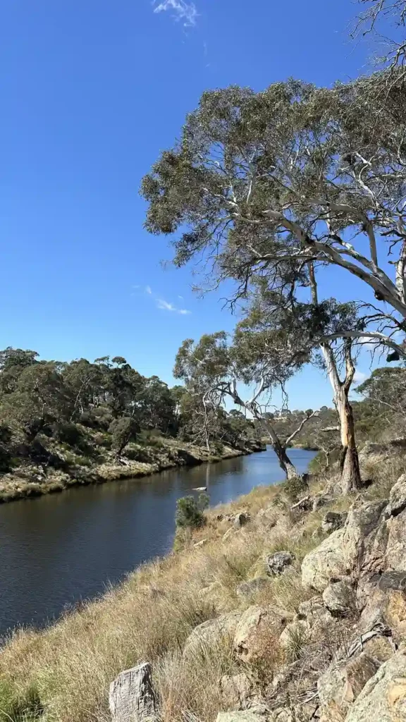 Platypus Reserve ohne Platypus