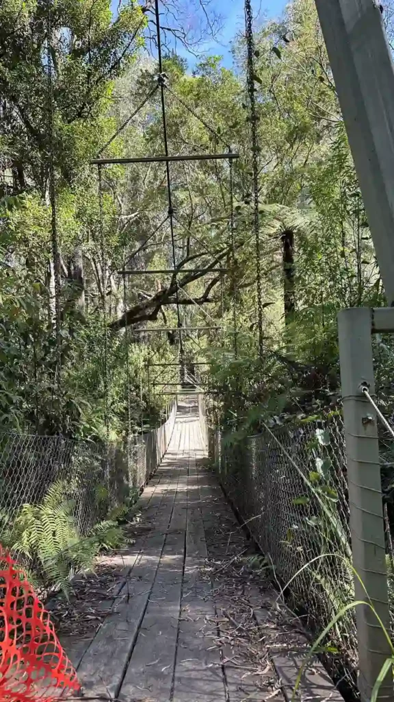 Gesperrter Regenwald