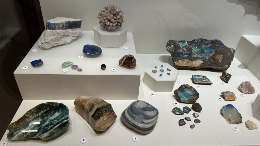 In einer Vitrine im Museum entdecke ich bunte Mineralien und Edelsteine aus Australien, nummeriert und liebevoll arrangiert.