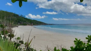 Weißer Sandstrand, sanfte Wellen, üppiges Grün, blauer Himmel auf den Seychellen