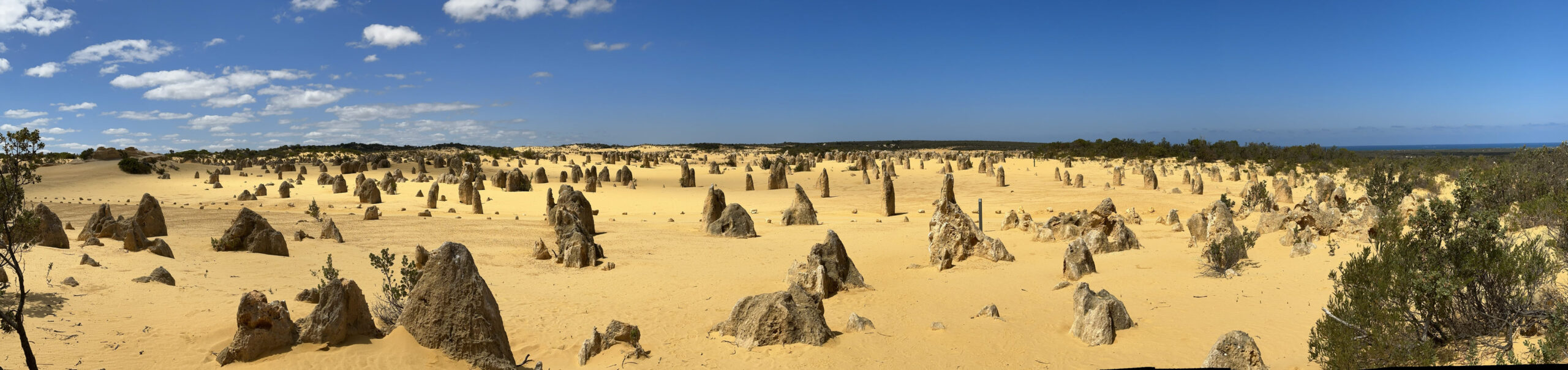 Weitblick über die gelbe Wüste Westaustraliens mit hohen Kalksteinfelsen, strahlend blauem Himmel und Heimat der seltenen Numbats.