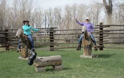 Der erste Tag auf der Vee Bar Ranch