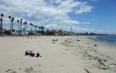 Letzte Station: San Francisco