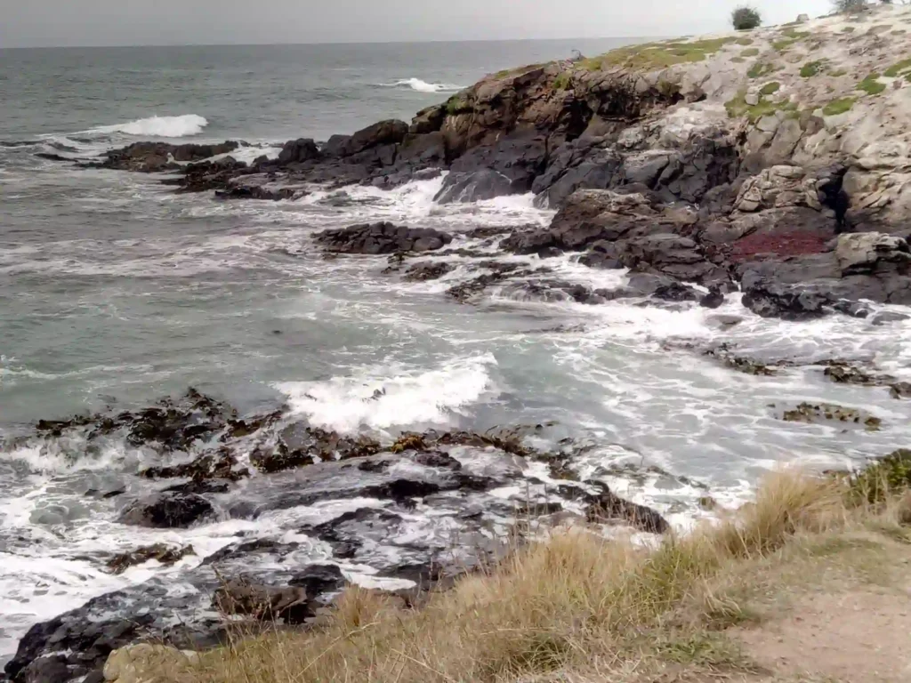 Unter einem wolkenverhangenen Himmel schlagen die Wellen gegen die dunkle, felsige Küste der Neuseeländischen Südinsel, mit grasbewachsenen Flächen im Vordergrund und verstreutem Grün an den Klippen.