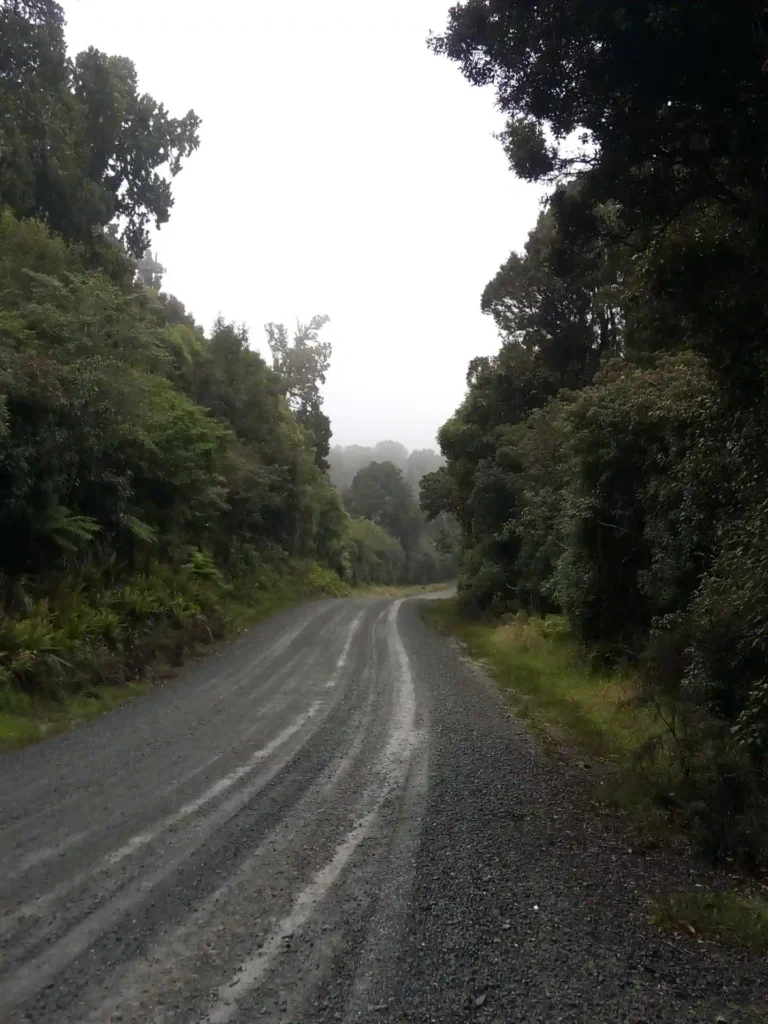 Auf der neuseeländischen Südinsel schlängelt sich bei bedecktem Himmel eine Schotterstraße durch den dichten, grünen Wald. Bäume und Sträucher säumen beide Seiten, in der Ferne ist Nebel zu sehen.