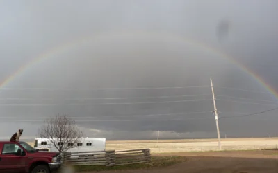Letzter Tag auf der Vee Bar Ranch