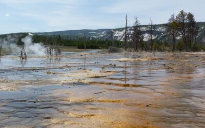Durch den Süd-Loop des Yellowstone nach Jackson