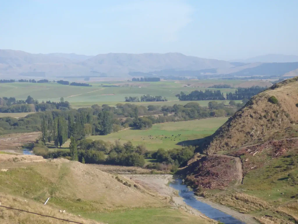 Eine malerische ländliche Landschaft mit sanften grünen Feldern, vereinzelten Bäumen, einem kleinen Bach und fernen Bergen unter einem klaren blauen Himmel - das erinnert an die ruhige Schönheit der Neuseeländischen Südinsel.