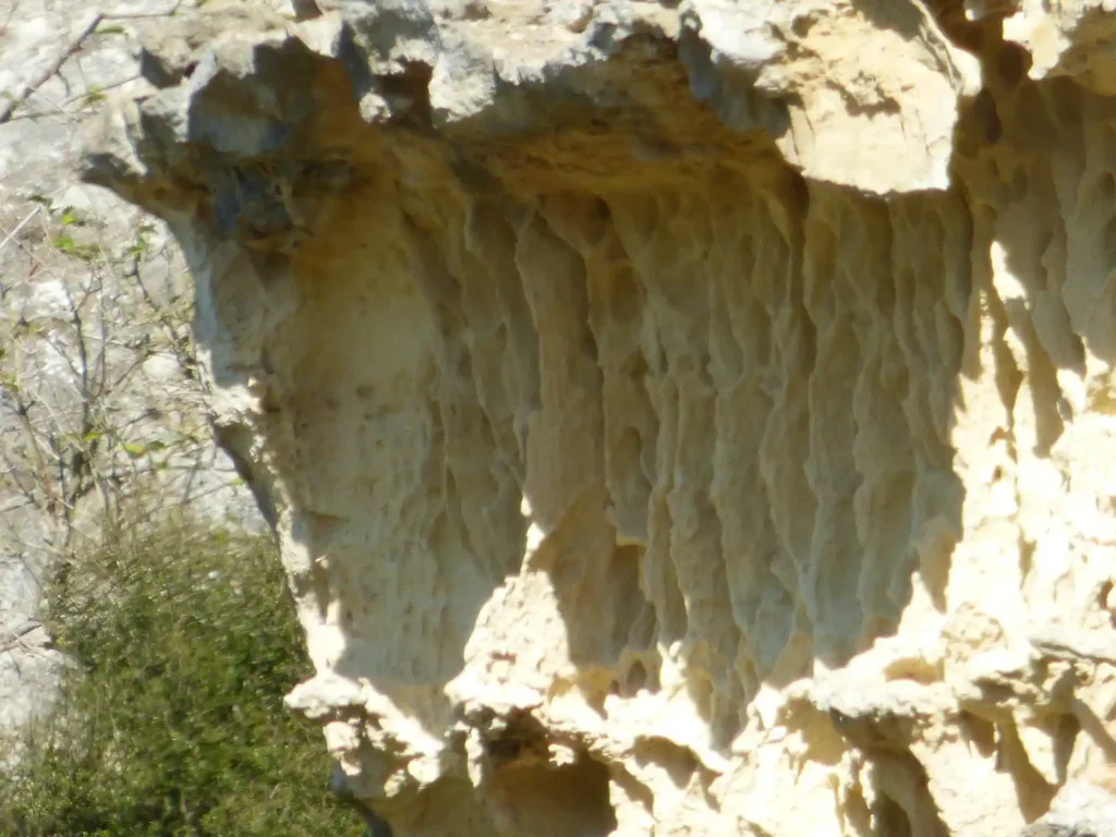 Eine Nahaufnahme einer hellen, strukturierten Felsformation mit tiefen vertikalen Rillen und Graten auf der Neuseeländischen Südinsel. Das Sonnenlicht hebt die raue, erodierte Oberfläche hervor, während unten links Grünzeug zu sehen ist.