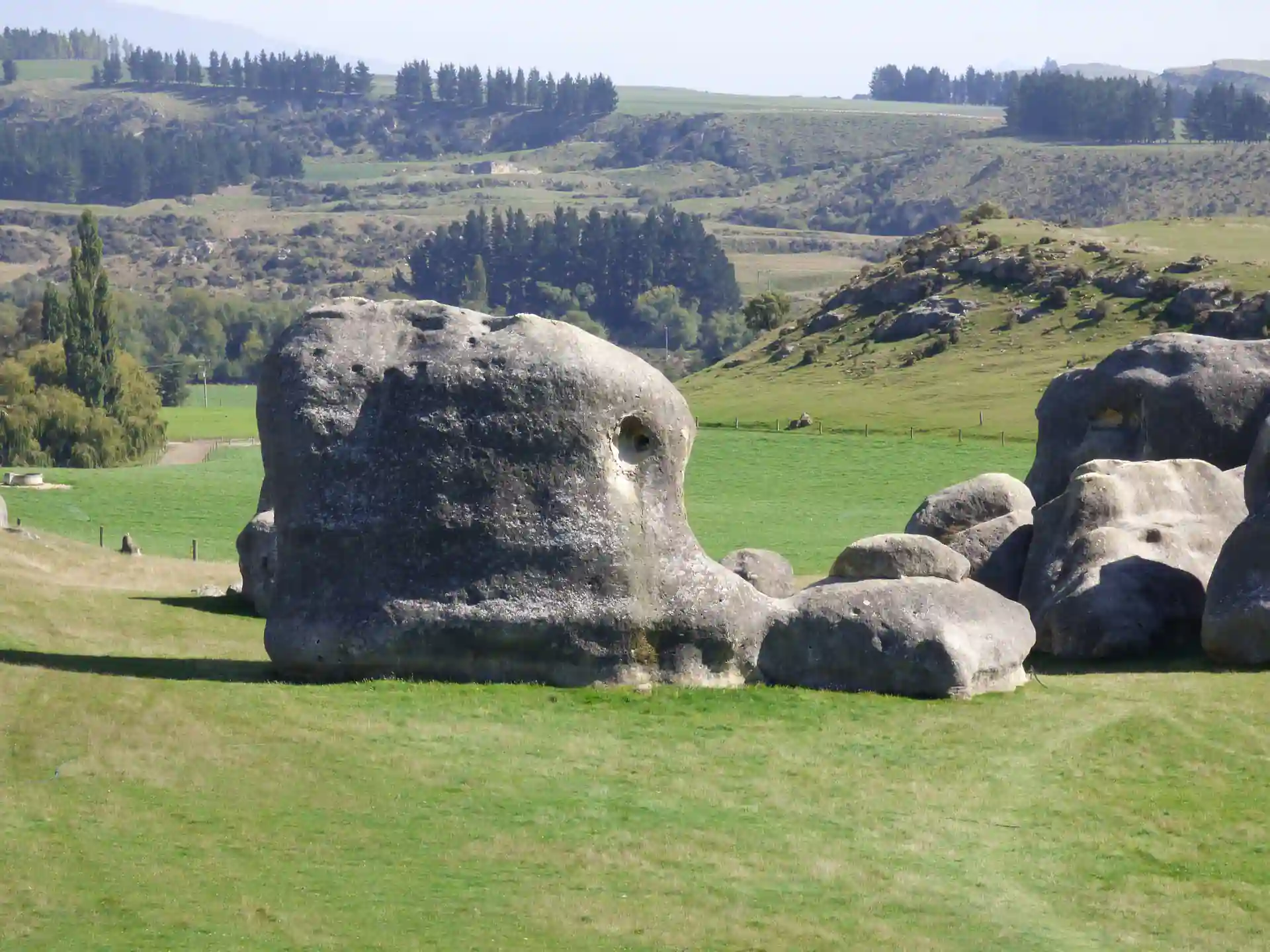 Eine große, verwitterte graue Felsformation liegt auf einem grasbewachsenen Feld inmitten sanfter grüner Hügel und vereinzelter Bäume und fängt die raue Schönheit der Neuseeländischen Südinsel unter einem klaren Himmel ein.